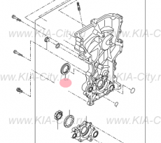 Сальник коленвала передний 2.0 Kia Sportage IV