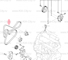 Ремень приводной 244см дизель Kia Sorento II