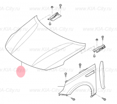 Капот Kia Optima IV