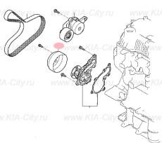 Шкив помпы 1.0 Kia Picanto III