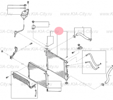 Радиатор охлаждения акпп Kia Sorento III Prime