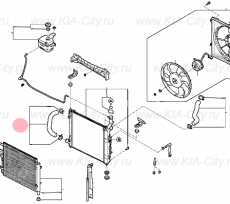 Патрубок радиатора нижний 1.2 Kia Picanto III