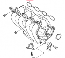 Прокладка впускного коллектора Kia Rio III