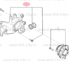 Кулак задний левый Kia Sportage IV