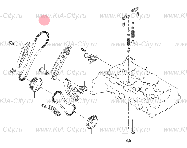 Цепь ГРМ дизель купить для Kia Sportage III - 243612F000