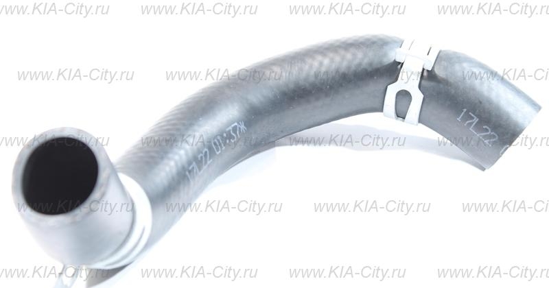 киа сид термостат