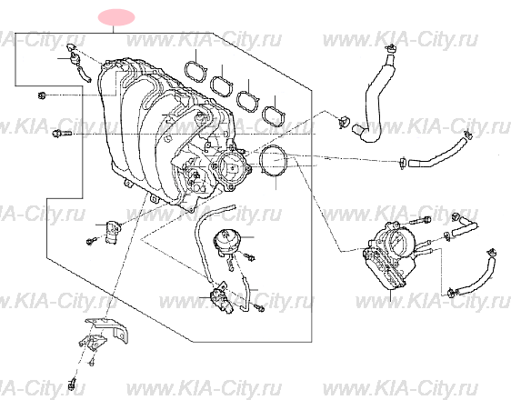Топливная система для Kia Optima IV (Киа Оптима 4)