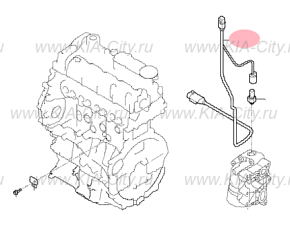 Проверка давления масла Kia Sephia 1995-2001 Kia AutoDocBook