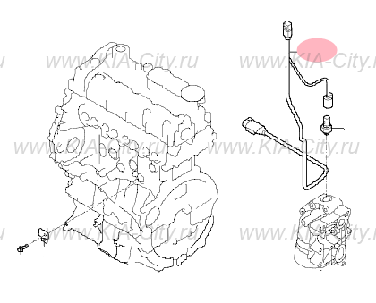 Датчик давления масла Киа Спортейдж 3. Датчик давления масла Киа Спортейдж 2 2.0 бензин. Датчик давления масла кия Спортейдж 3. Датчик давления масла Kia Sportage 3. Датчик давления масла киа спортейдж