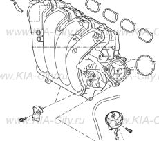 Коллектор впускной 2.0 Kia Sportage IV